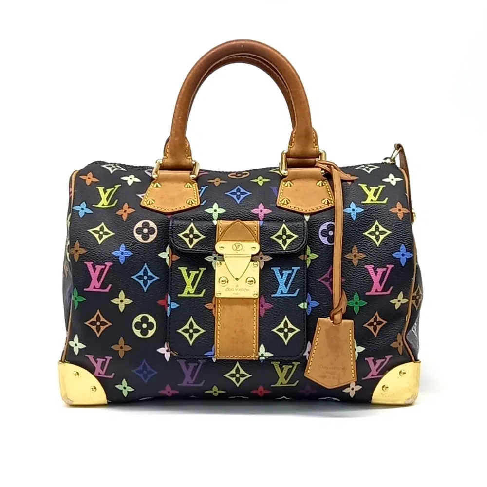 Louis Vuitton Multicolore Speedy 30