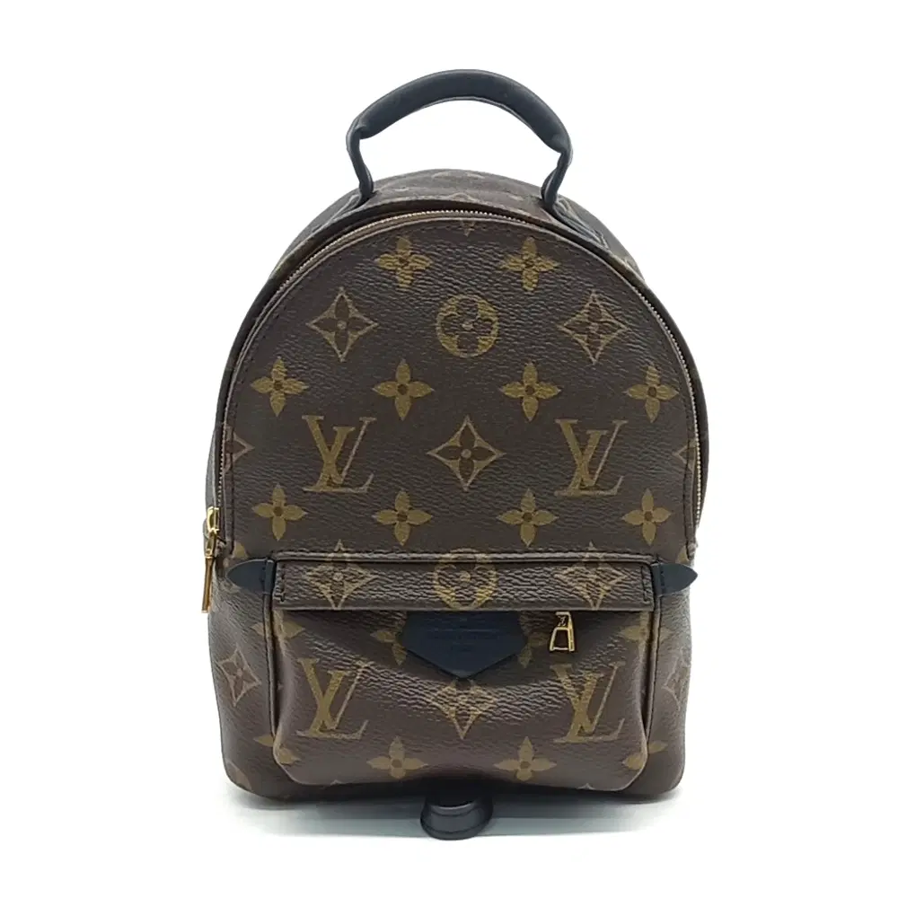 Louis Vuitton Palm Springs Backpack Mini M44873