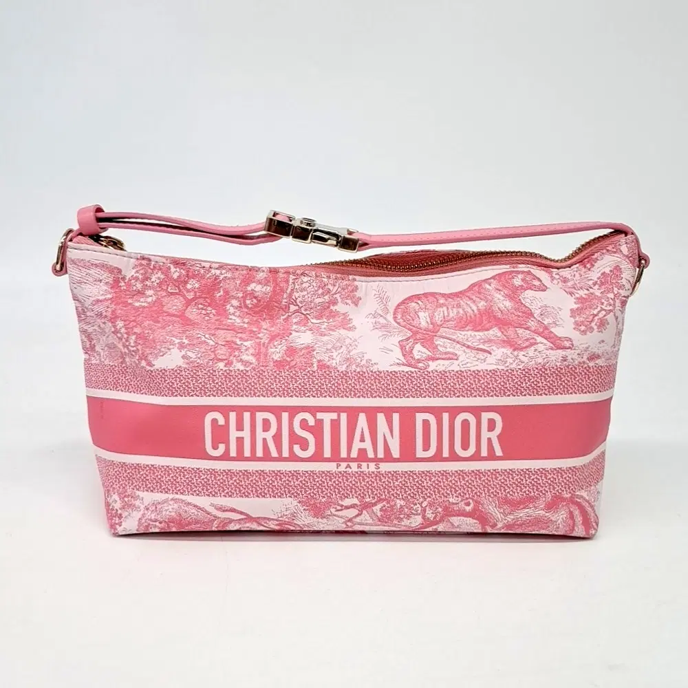 Christian Dior Travel Nomad Pouch Medium
