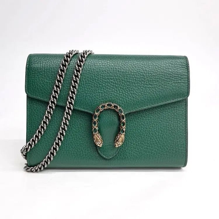 Gucci Dionysus Mini Chain Bag (401231)-Hover-Image