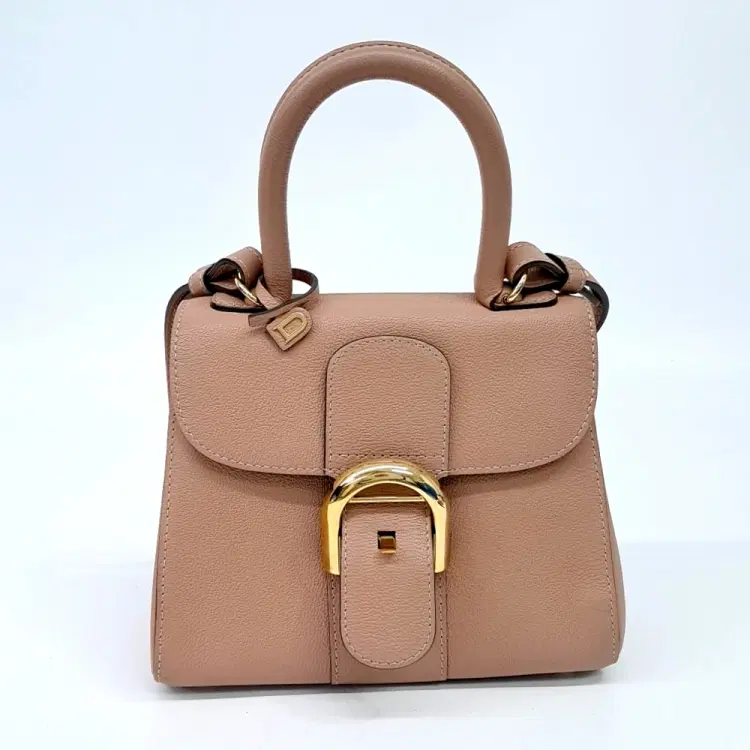 Delvaux Brillant Mini Box-Hover-Image