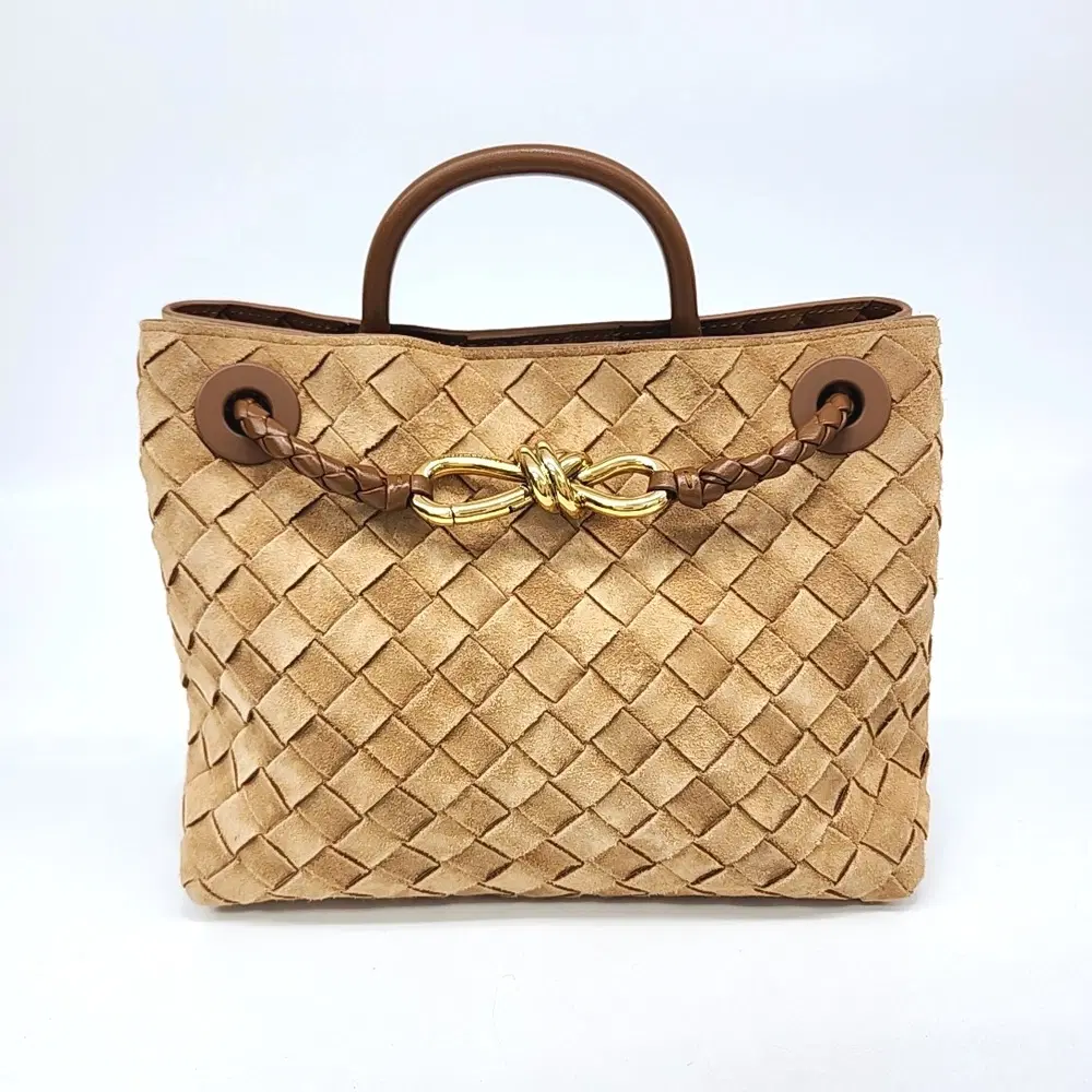 Bottega Veneta Andiamo Small
