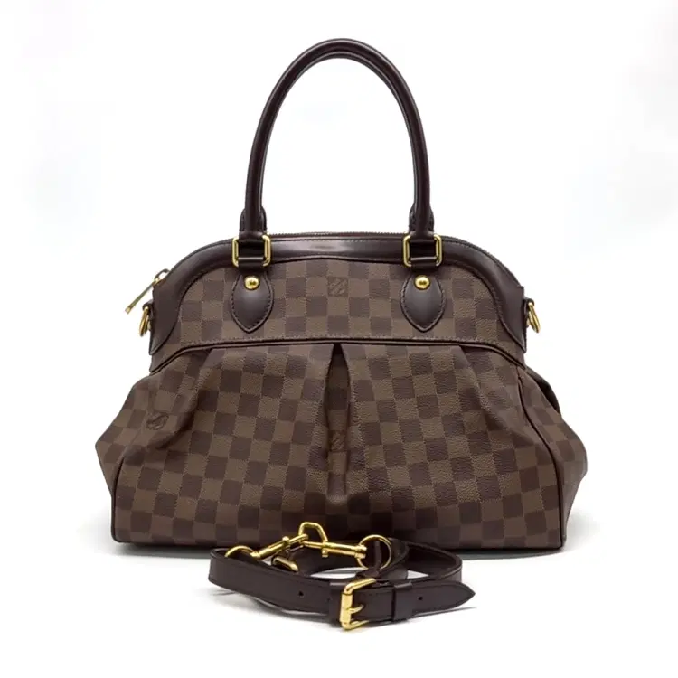 Louis Vuitton Damier Trevi Pm-Hover-Image