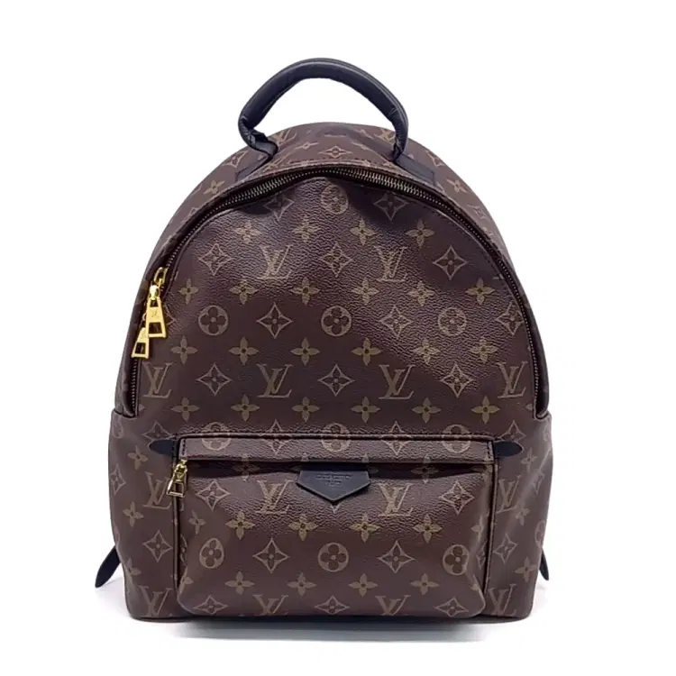 Louis Vuitton Monogram Palm Springs Backpack Mm-Hover-Image