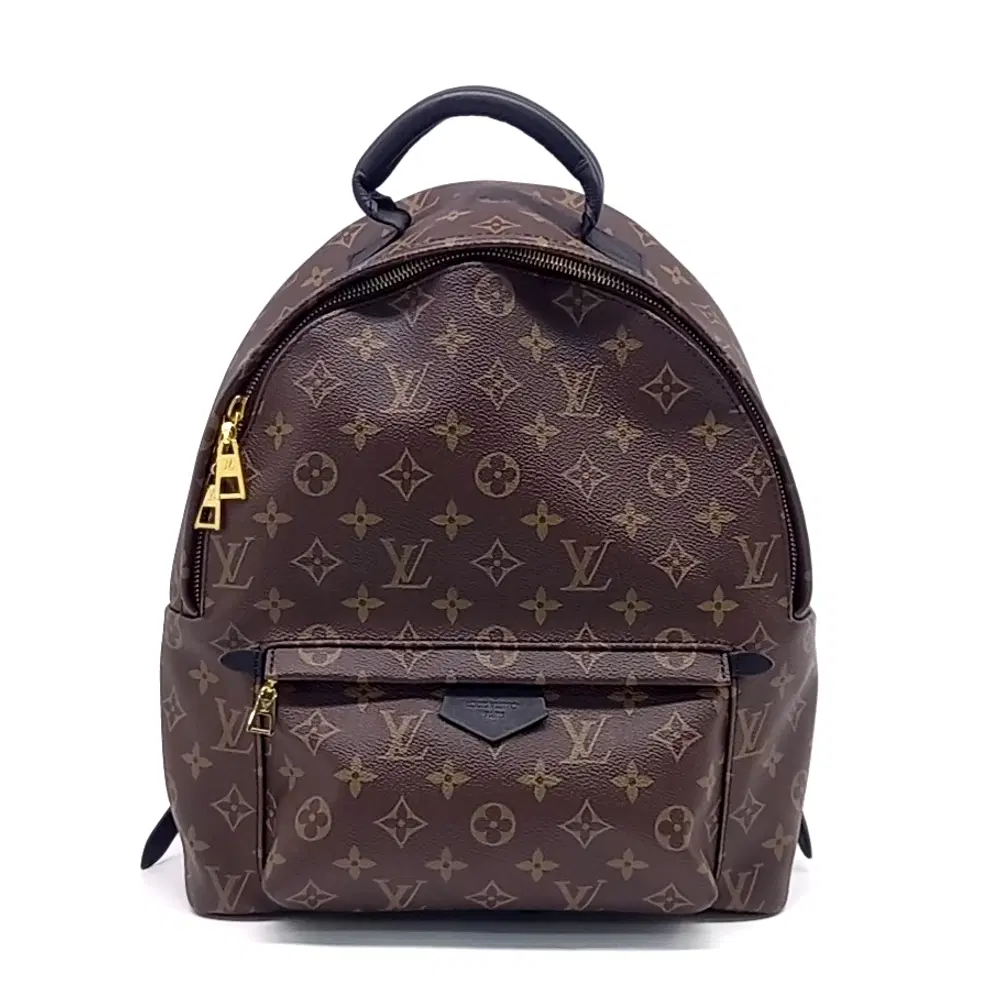Louis Vuitton Monogram Palm Springs Backpack Mm