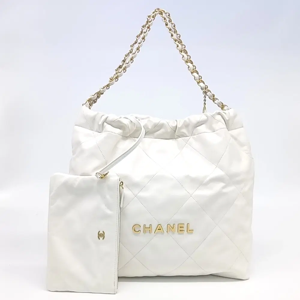 Chanel 22 Bag (Size 35)