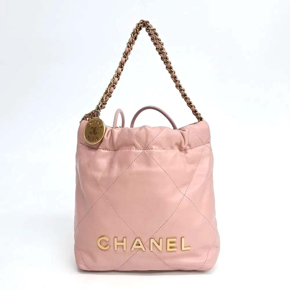 Chanel 22 Bag 17