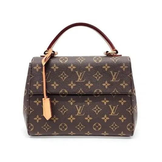 Louis Vuitton Monogram Cluny BB
