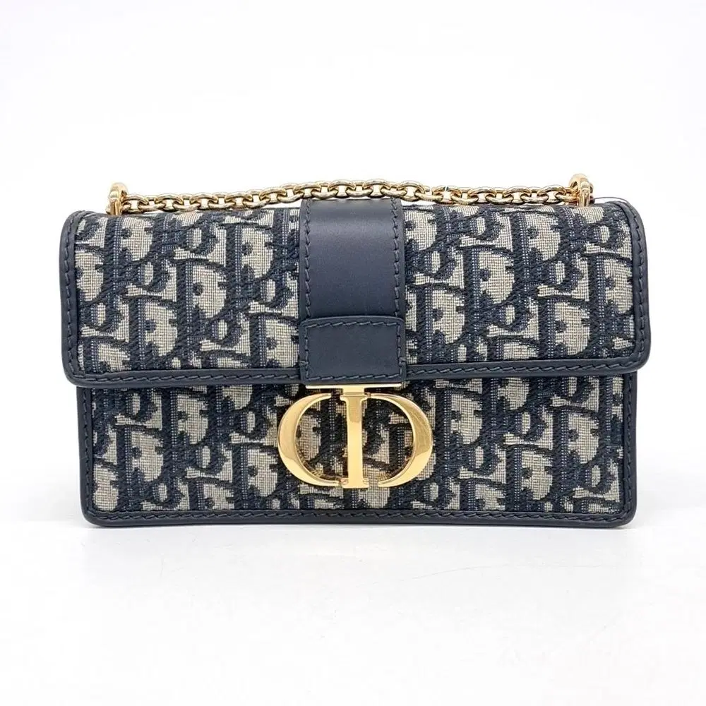 Dior Oblique 30 Montaigne East West Chain Bag