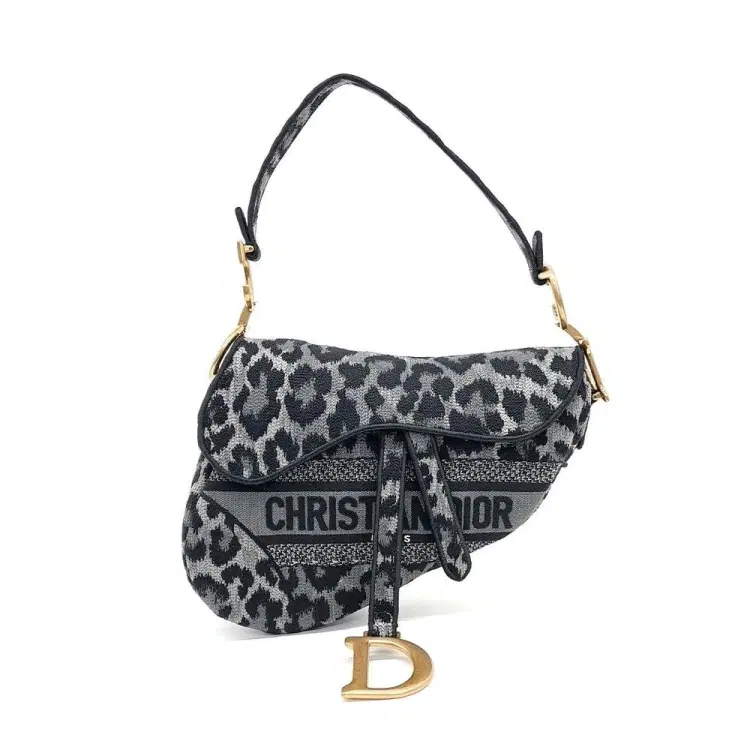 Dior Saddle Bag-Hover-Image