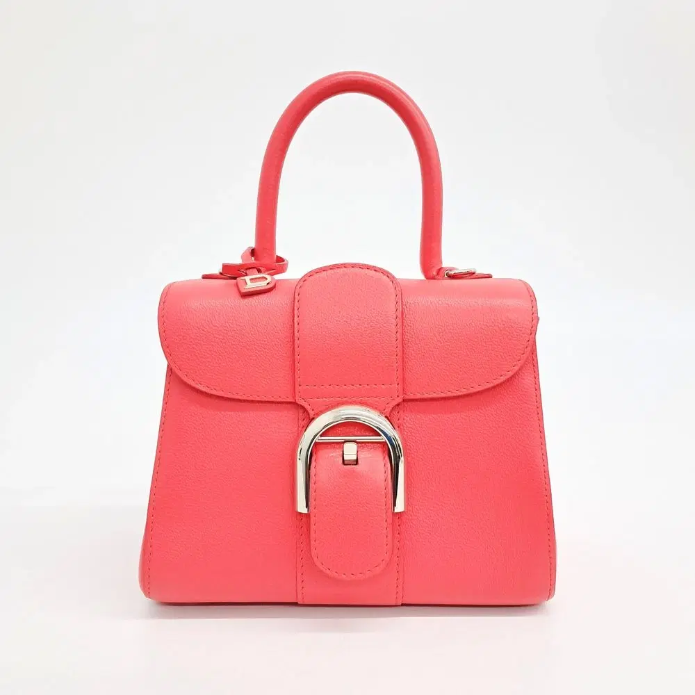 Delvaux Brillant Mini Box