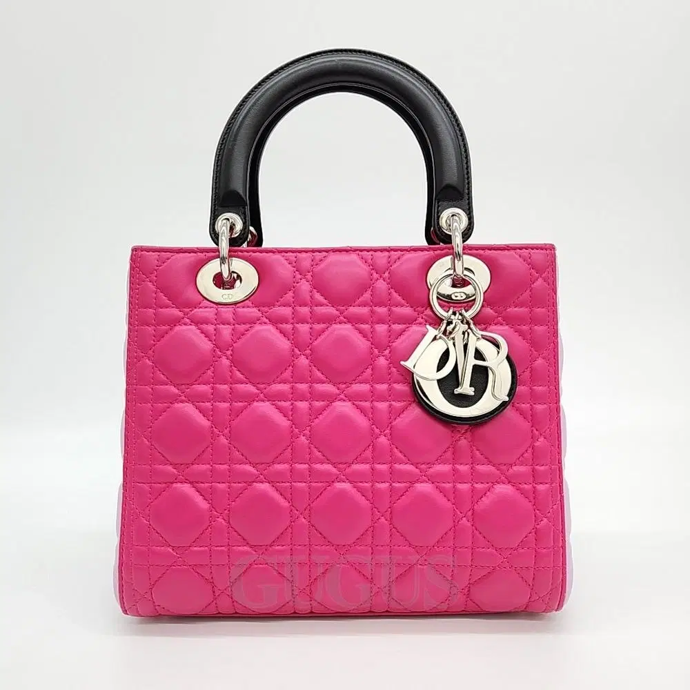 Dior Lady Bag Medium M0550