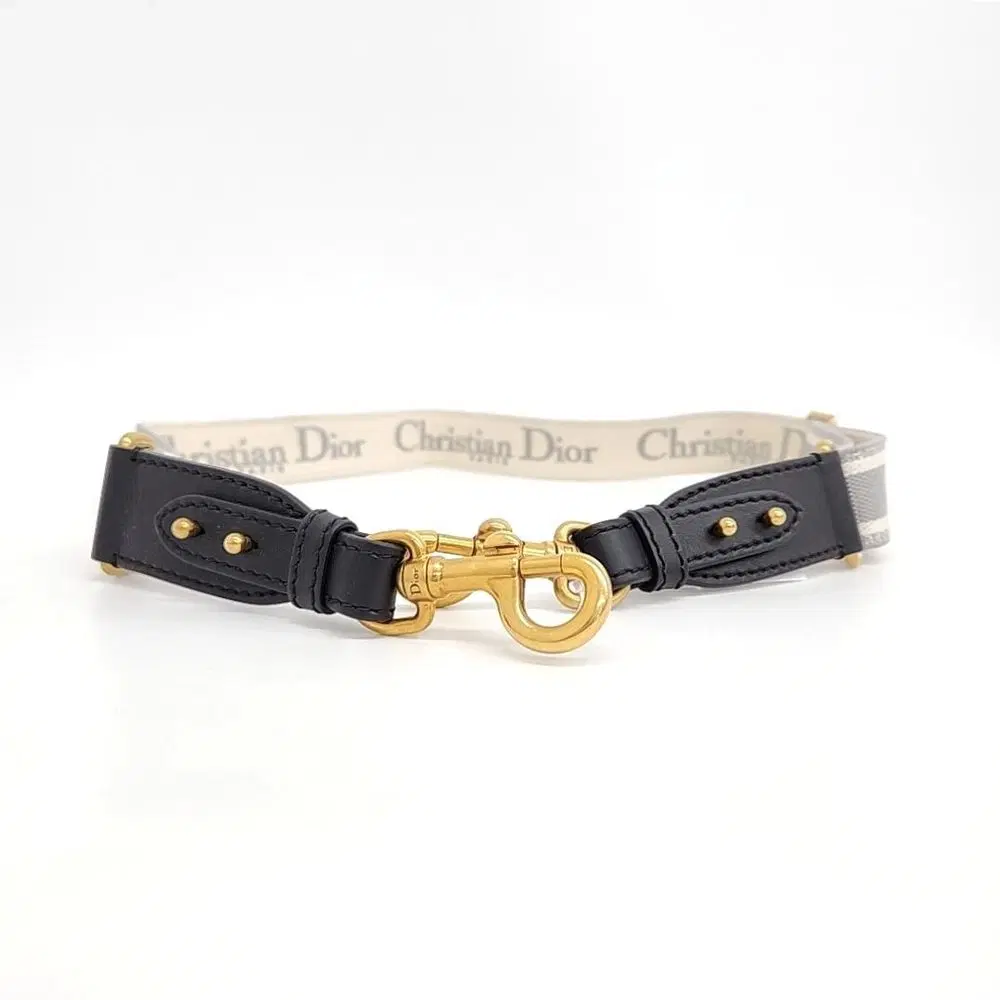 Christian Dior Strap S8543