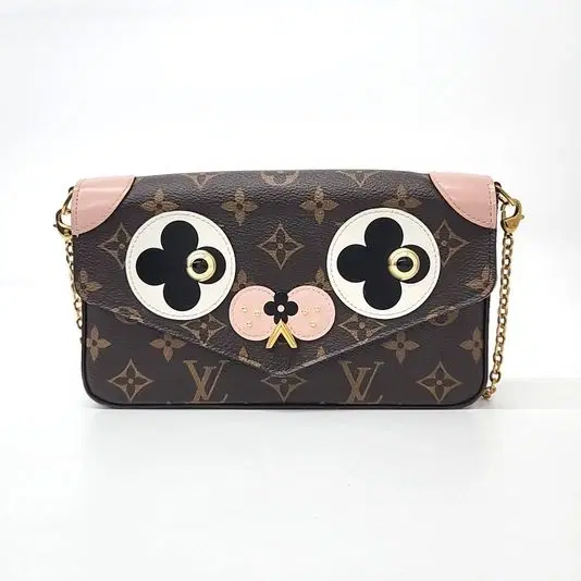 Louis Vuitton Pochette Felicie-Hover-Image