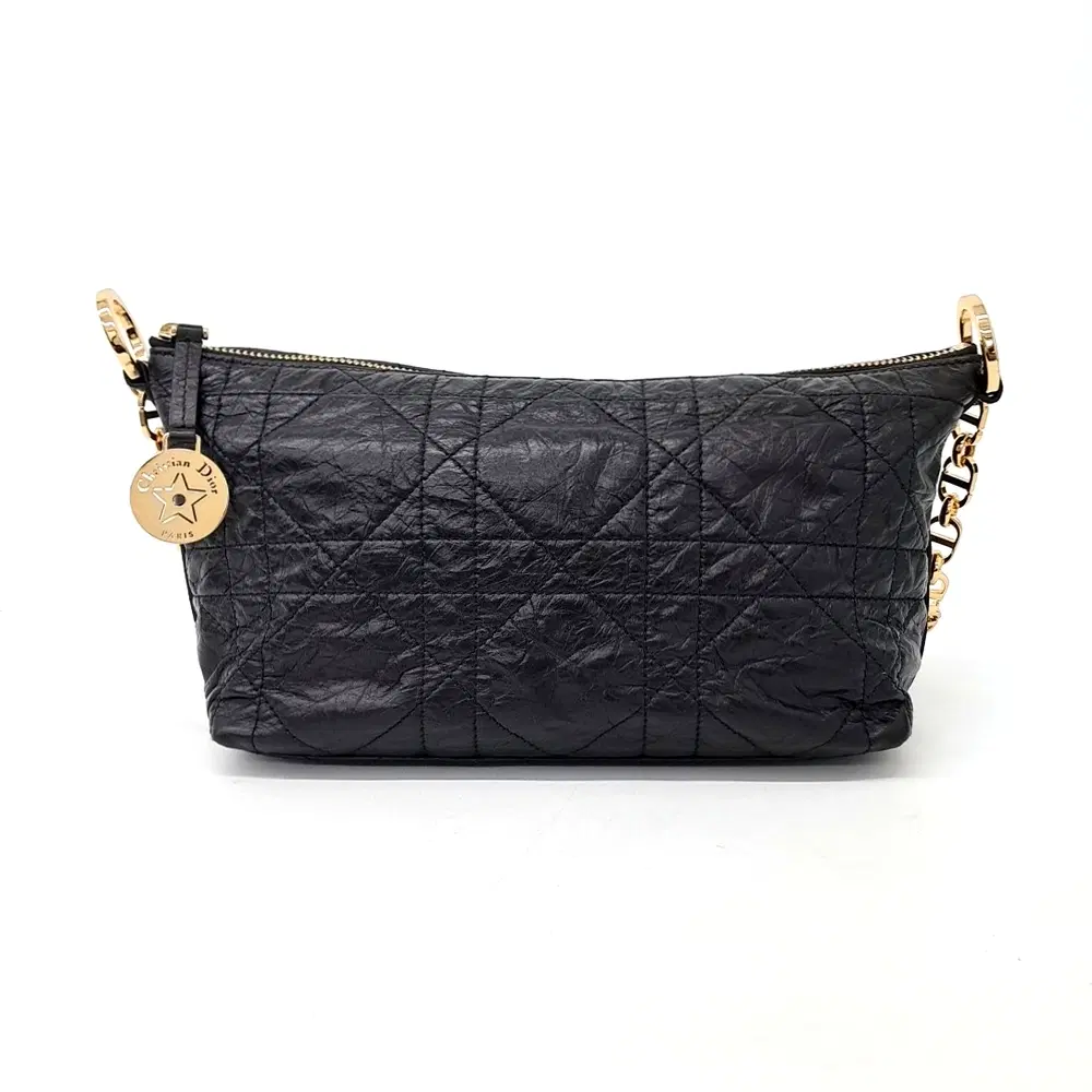 Dior Diorstar Hobo Bag S3202