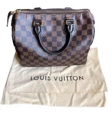 Louis Vuitton Damier Ebene Canvas Speedy 25 Handbag-Hover-Image