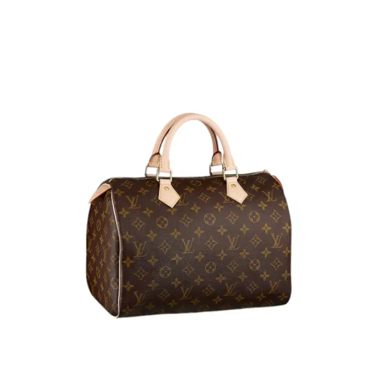 LOUIS VUITTON SPEEDY 30 MONOGRAM CANVAS 2-Hover-Image