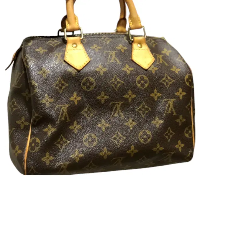 Louis Vuitton Monogram Speedy 25
