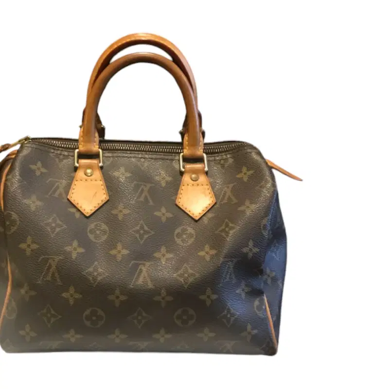 Louis Vuitton Speedy 25 Monogram