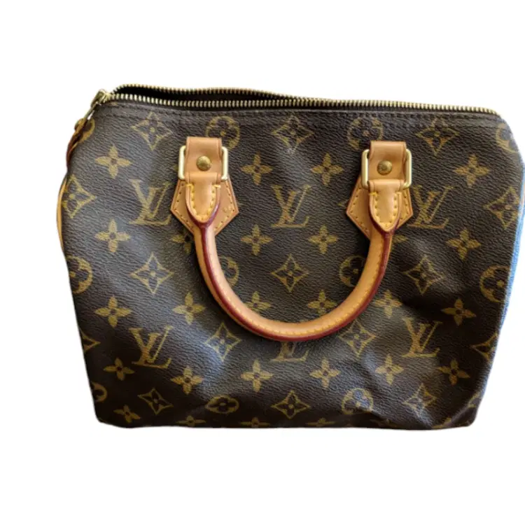 Louis Vuitton Monogram Speedy 25 Handbag-Hover-Image