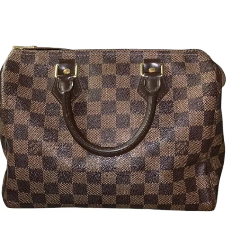 Louis Vuitton Damier Ebene Speedy 30 Bag