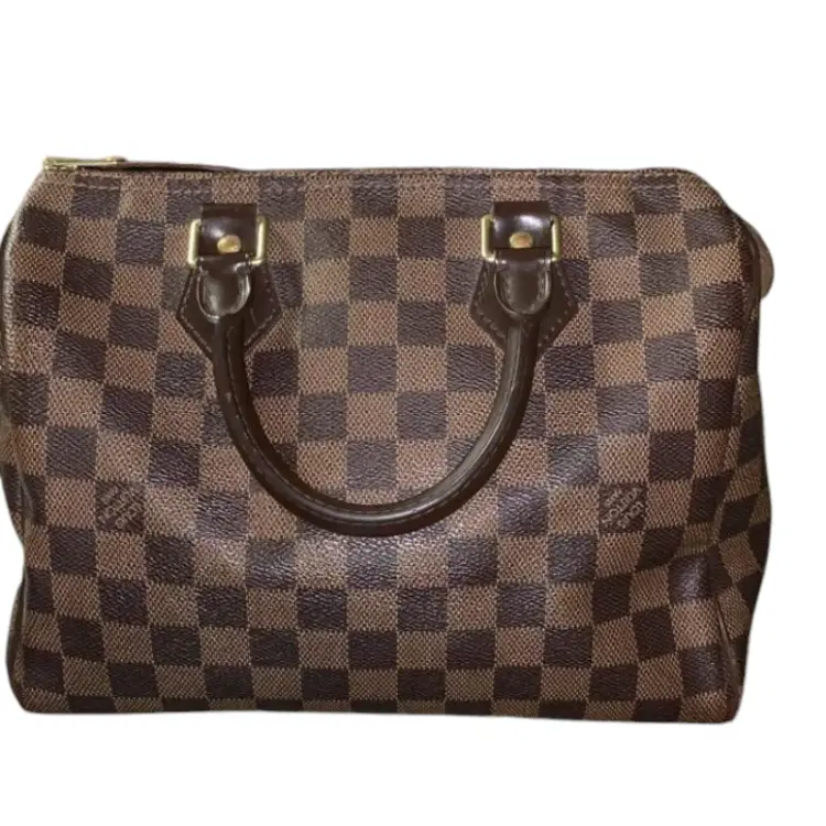 Louis Vuitton Damier Ebene Speedy 30 Bag-Hover-Image