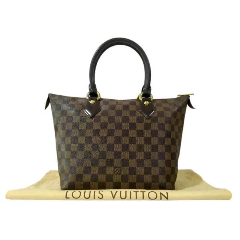 Louis Vuitton Damier Ebene SALEYA PM Tote