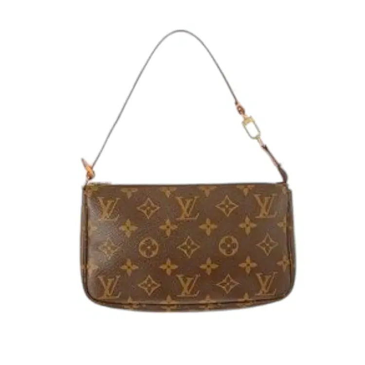 Louis Vuitton Monogram Canvas Pochette Accessoires-Hover-Image