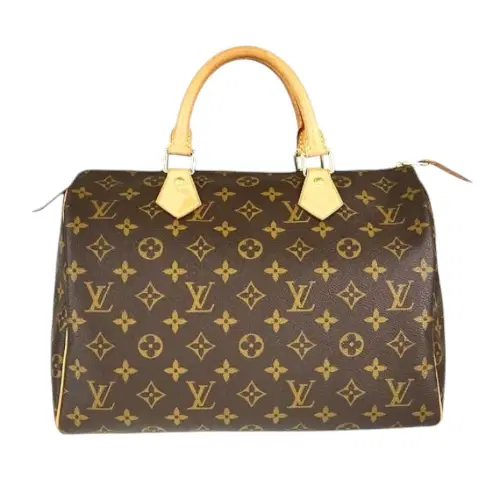 Louis Vuitton Monogram Speedy 30 Handbag-Hover-Image