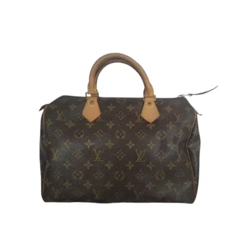 Louis Vuitton Speedy 30 Monogram Canvas Handbag-Hover-Image