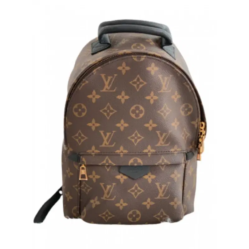 Louis Vuitton Palm Springs PM Monogram Canvas Backpack