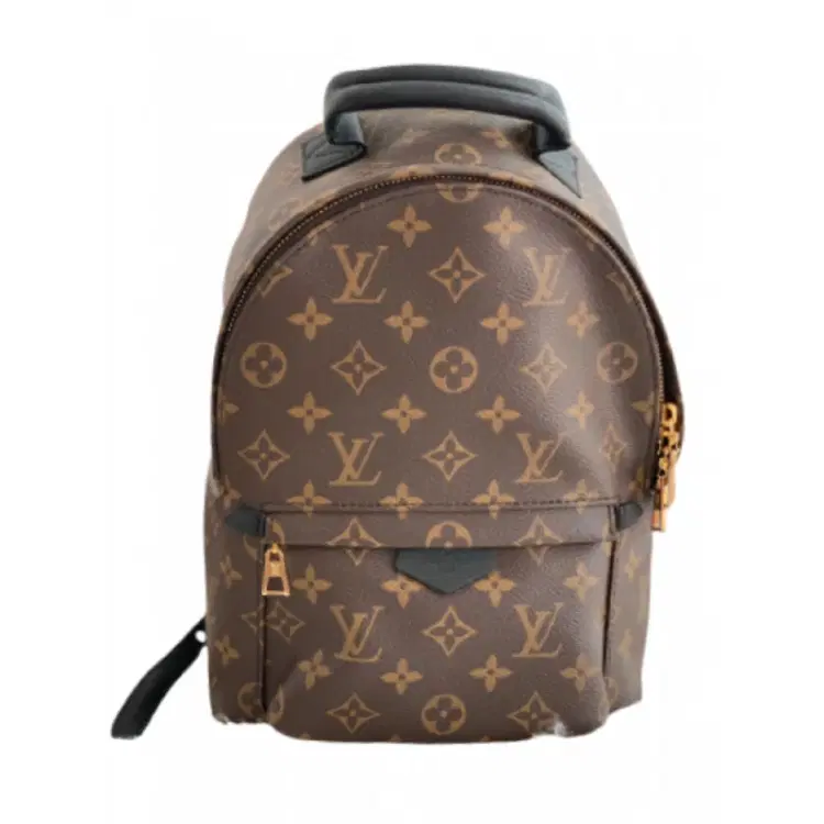 Louis Vuitton Palm Springs PM Monogram Canvas Backpack-Hover-Image
