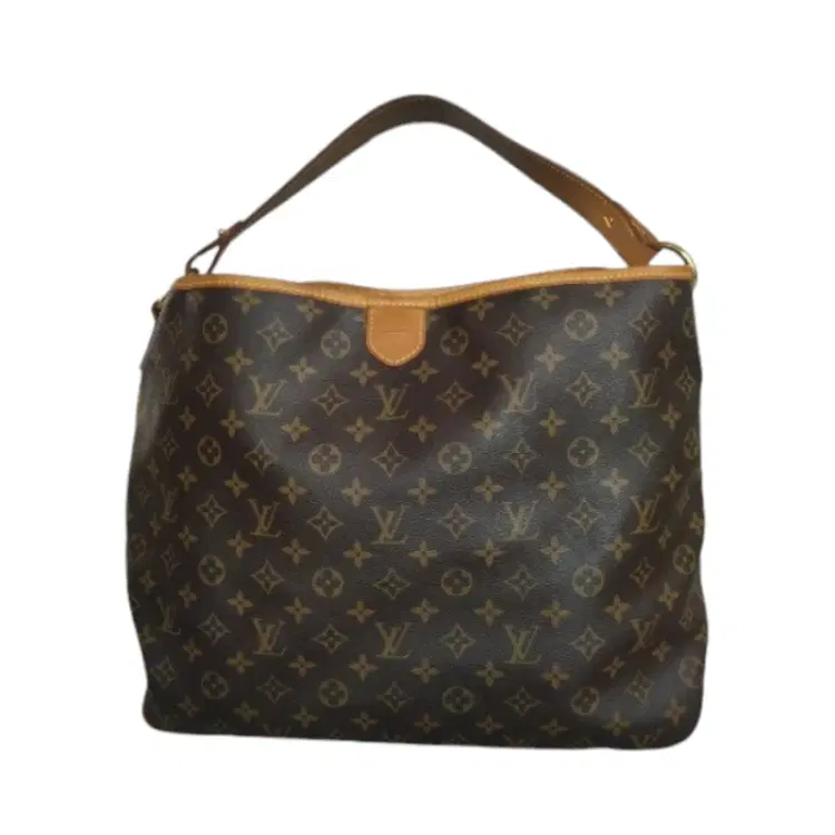 Louis Vuitton Monogram Delightful Hobo Bag-Hover-Image