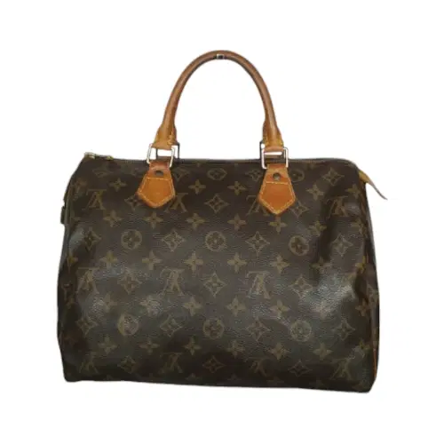 Louis Vuitton Monogram Canvas Speedy 30 Bag-Hover-Image