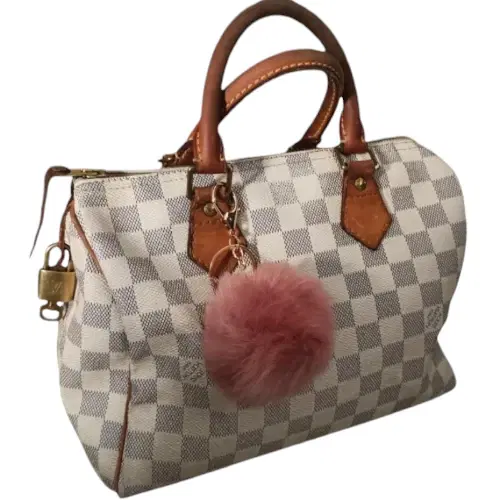 Louis Vuitton Damier Azur Canvas Speedy 25 Bag-Hover-Image