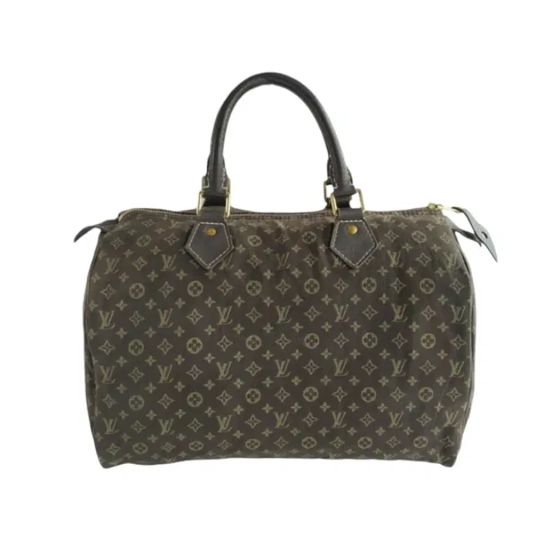 Louis Vuitton Monogram Canvas Mini Lin Speedy 30 Bag