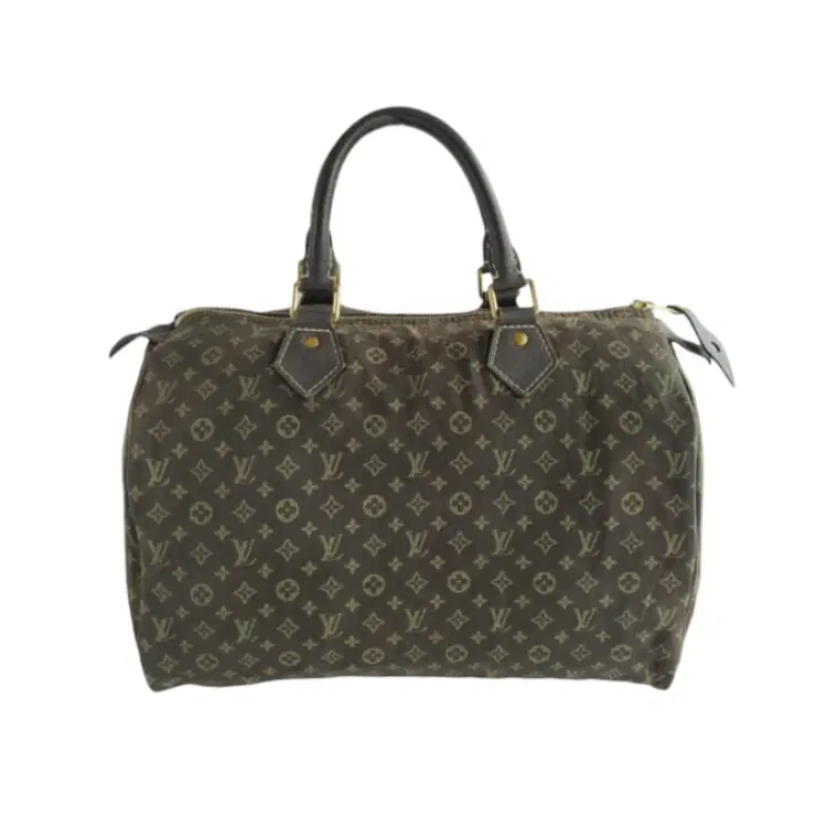Louis Vuitton Monogram Canvas Mini Lin Speedy 30 Bag-Hover-Image
