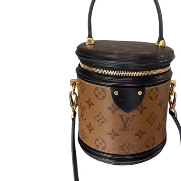 Louis Vuitton Cannes Monogram Reverse Canvas Handbags-Hover-Image