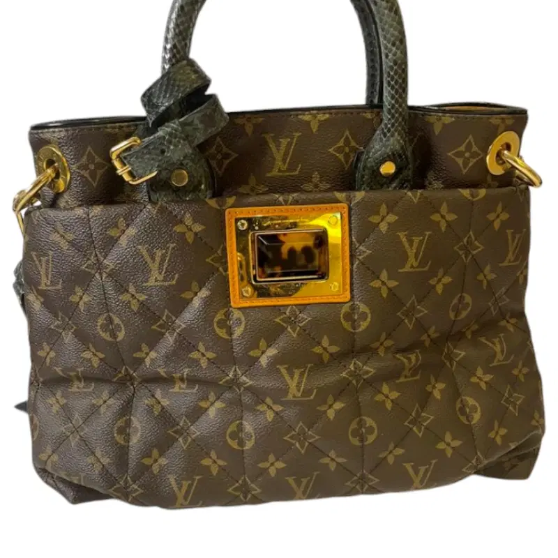 Louis Vuitton Limited Edition Monogram Etoile Exotique Tote