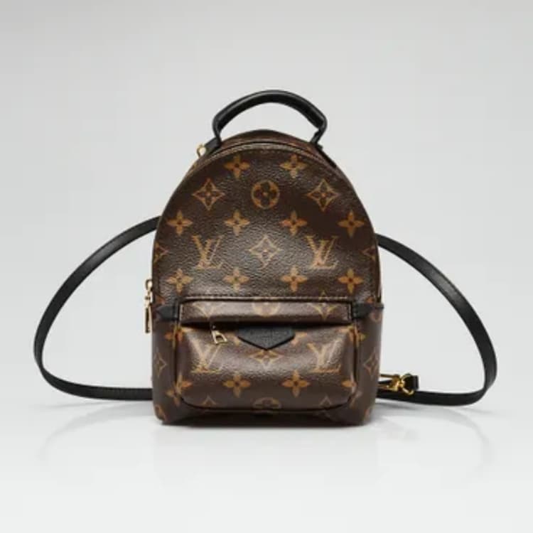 Louis Vuitton Palm Springs Mini backpack in monogram canvas-Hover-Image