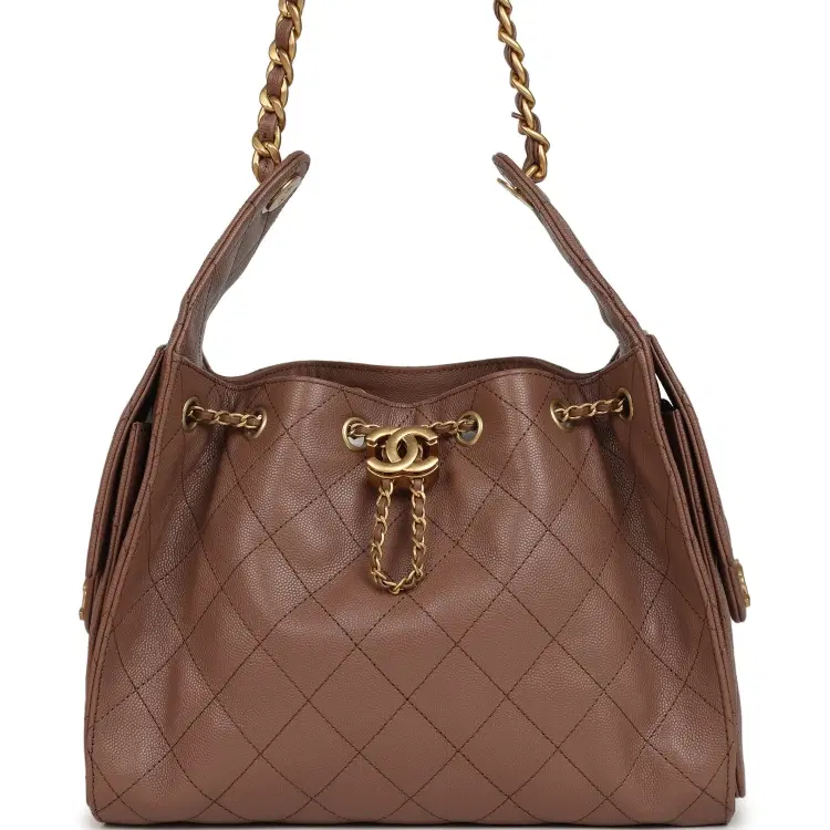 Chanel Small 25 Hobo Bag Brown Caviar Antique Gold Hardware-Hover-Image