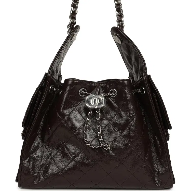 Chanel Small 25 Hobo Bag Dark Brown Shiny Aged Calfskin Silver Hardware-Hover-Image