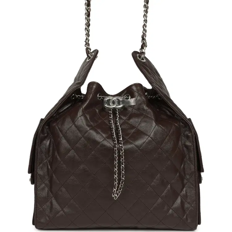 Chanel Medium 25 Hobo Bag Dark Brown Shiny Aged Calfskin Silver Hardware-Hover-Image