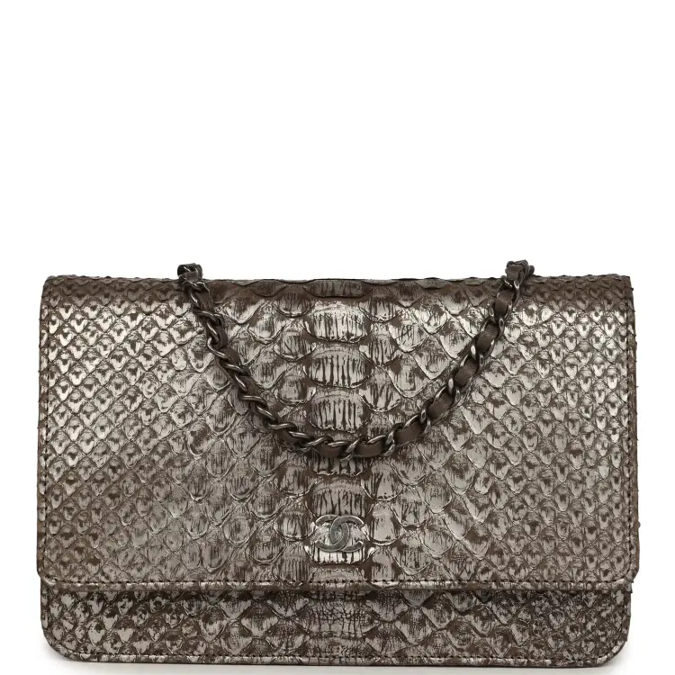 Chanel Wallet On Chain WOC Silver and Brown Aged Python Antique Silver Hardware-Hover-Image