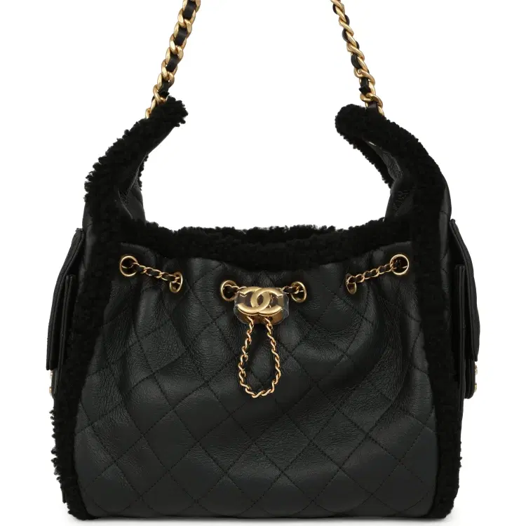 Chanel Small 25 Hobo Bag Black Crumpled Sheepskin and Shearling Antique Gold Hardware-Hover-Image