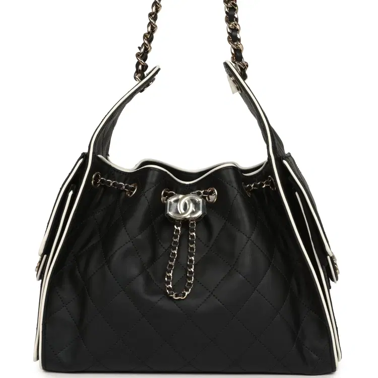 Chanel Small 25 Hobo Bag Black and White Calfskin Light Gold Hardware-Hover-Image