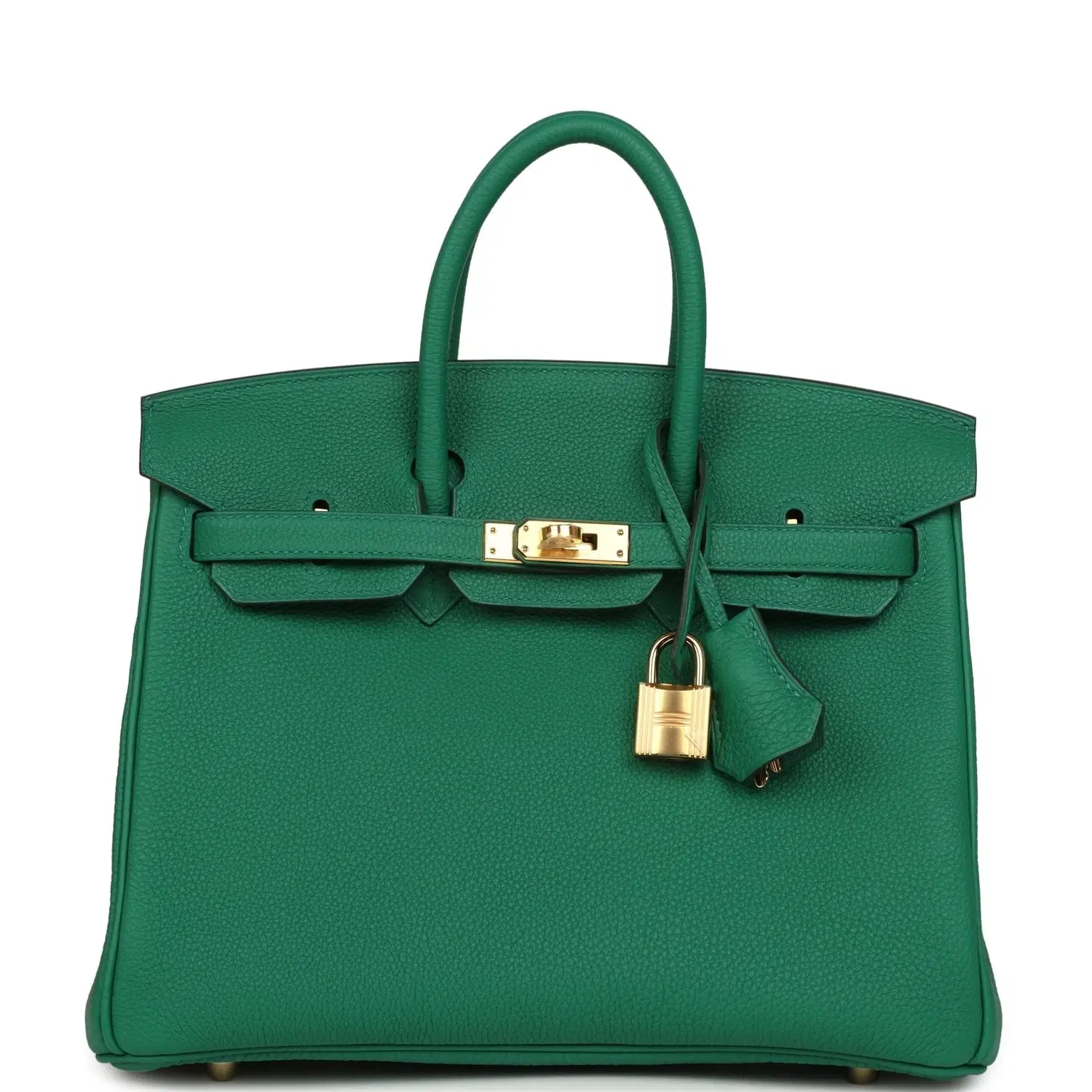 Hermes Birkin 25 Vert Vertigo Togo Gold Hardware