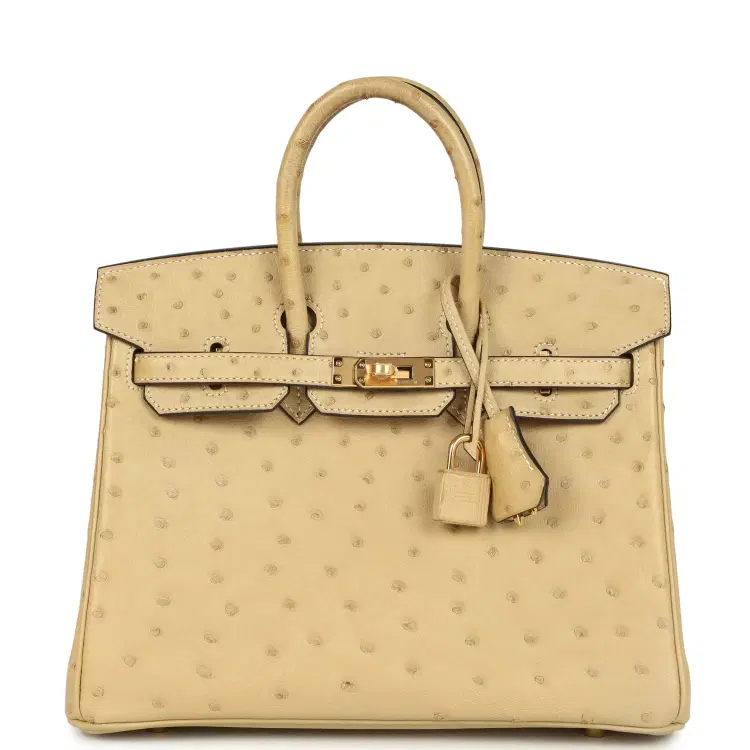 Hermes Birkin 25 Trench Ostrich Gold Hardware-Hover-Image