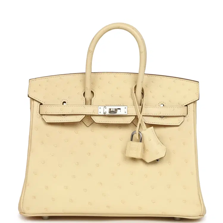 Hermes Birkin 25 Vanille Ostrich Palladium Hardware-Hover-Image