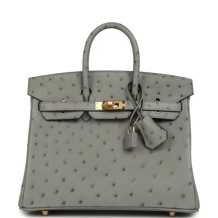 Hermes Birkin 25 Bleu Glacier Ostrich Gold Hardware-Hover-Image